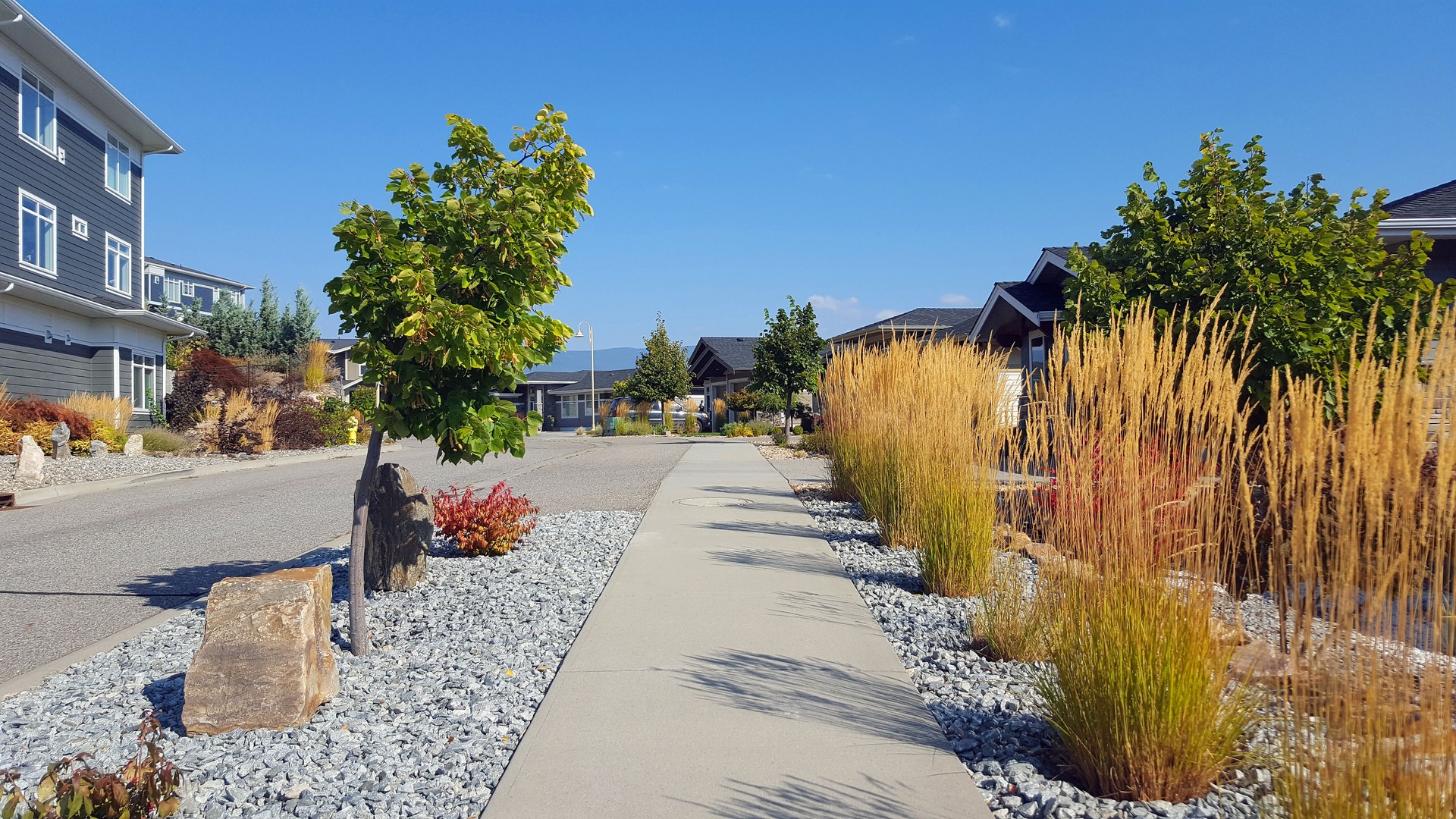 Perfectly Landscaped Residential Street In Autumn