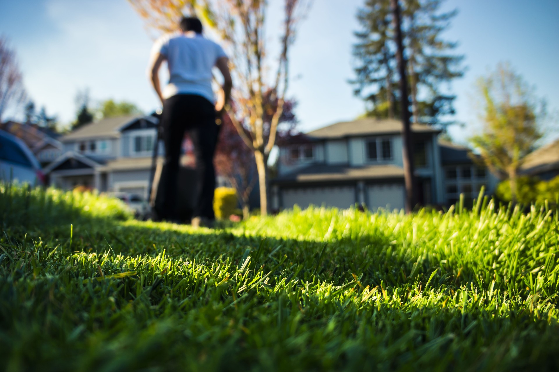 Mowing The Lawn